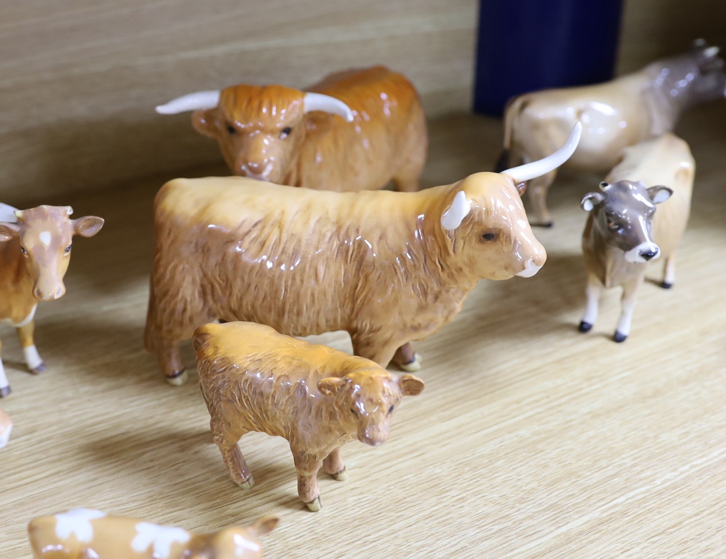 A Beswick Highland bull, cow and calf, a similar Freisian bull, cow and calf and a Dulsby Coy Boy, bull, cow and calf
